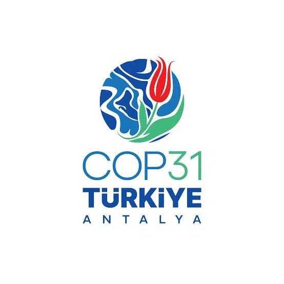 Information image